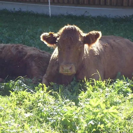 Appartement Haus Telisia *